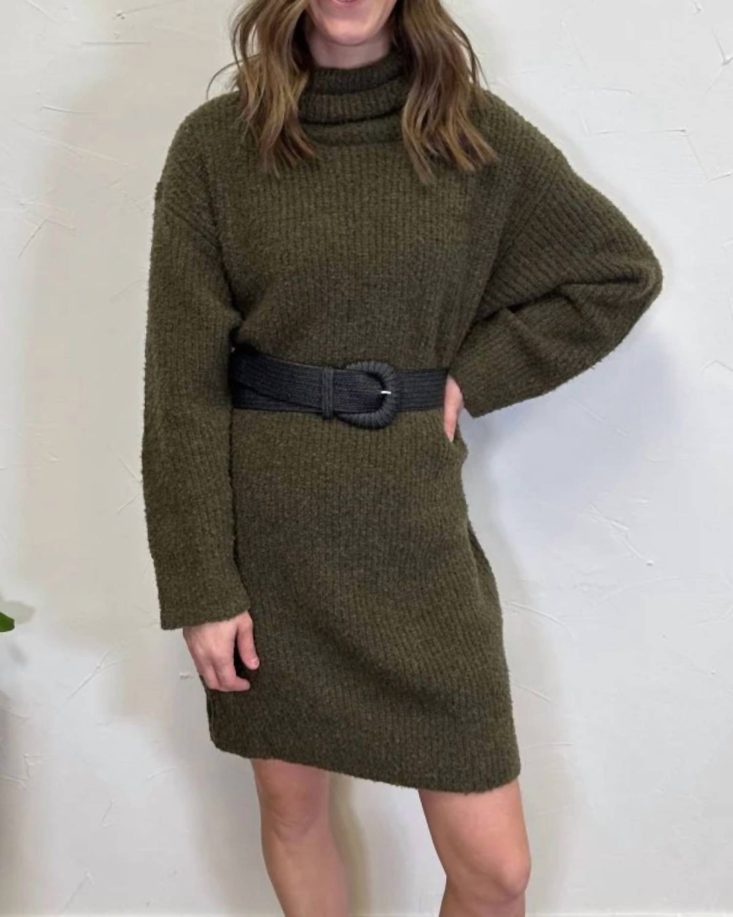 Mikarose The Verity Sweater Dress in green - women's dress