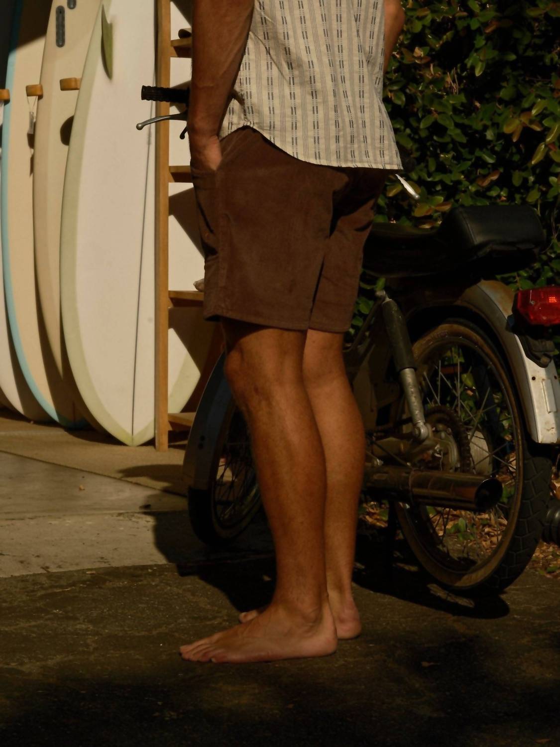 Mollusk - Magic Mushroom Shorts