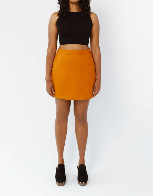 Aam - The Mini Skirt