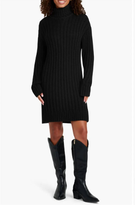 Splendid - Felicity Turtleneck Long Sleeve Mini Sweater Dress