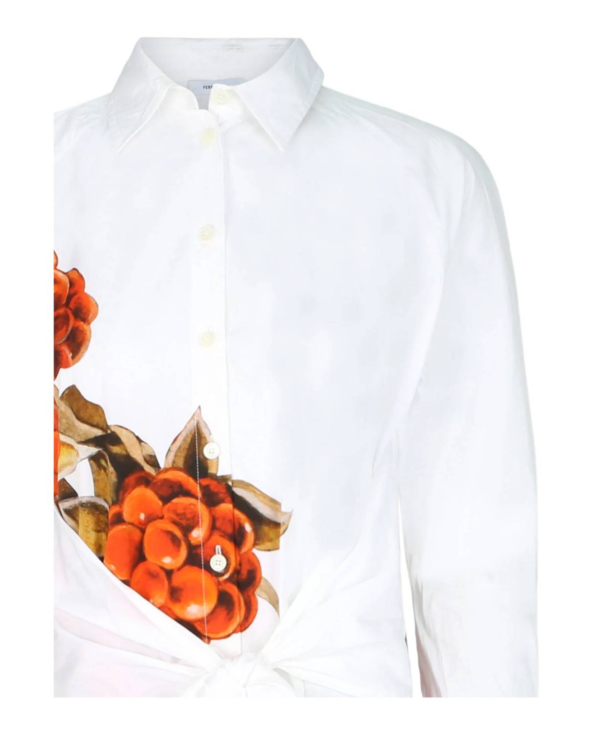 Salvatore Ferragamo - Botanical Print Shirt Dress