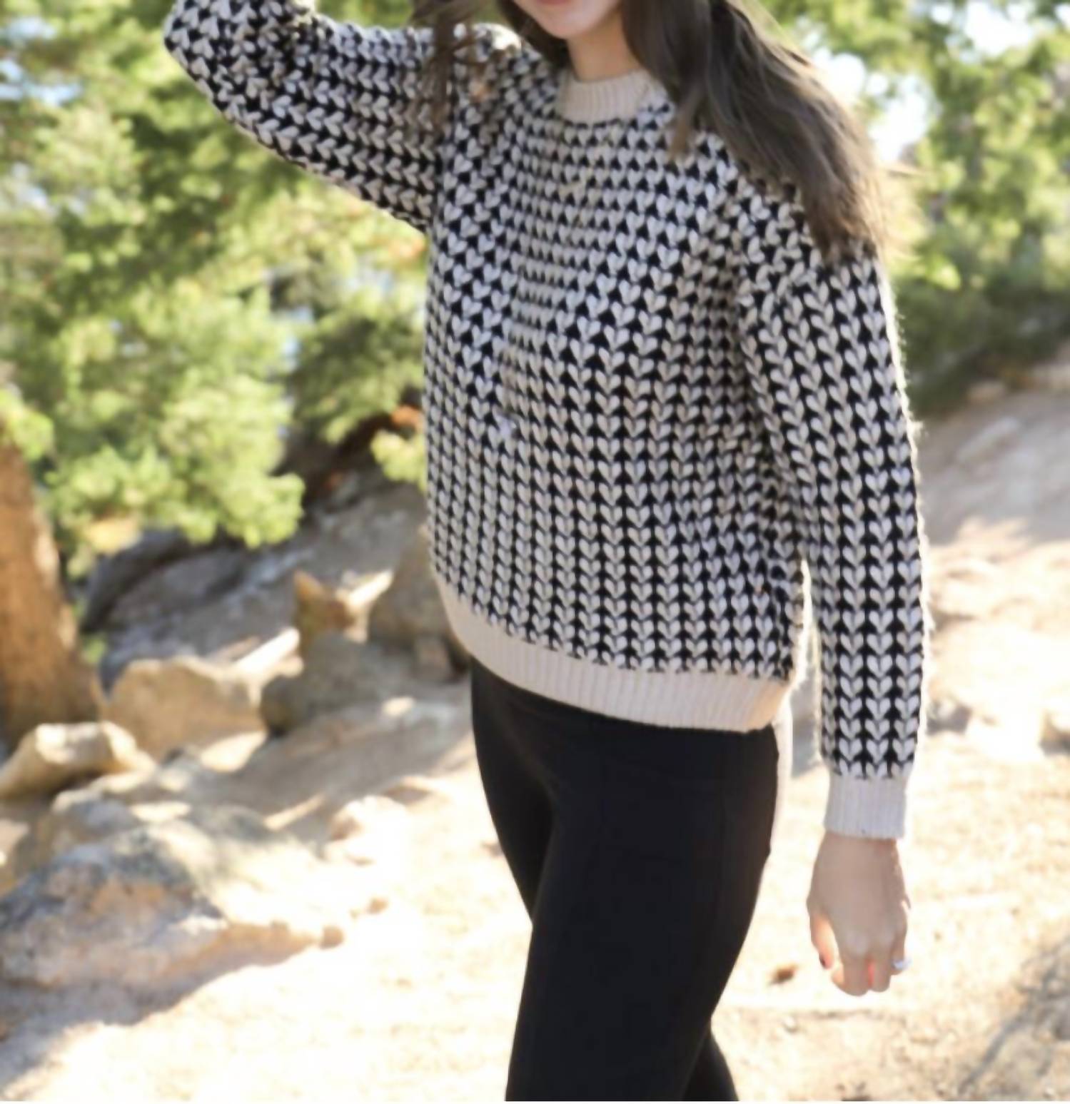 Lumiere - Patterned Long Sleeve Knit Sweater