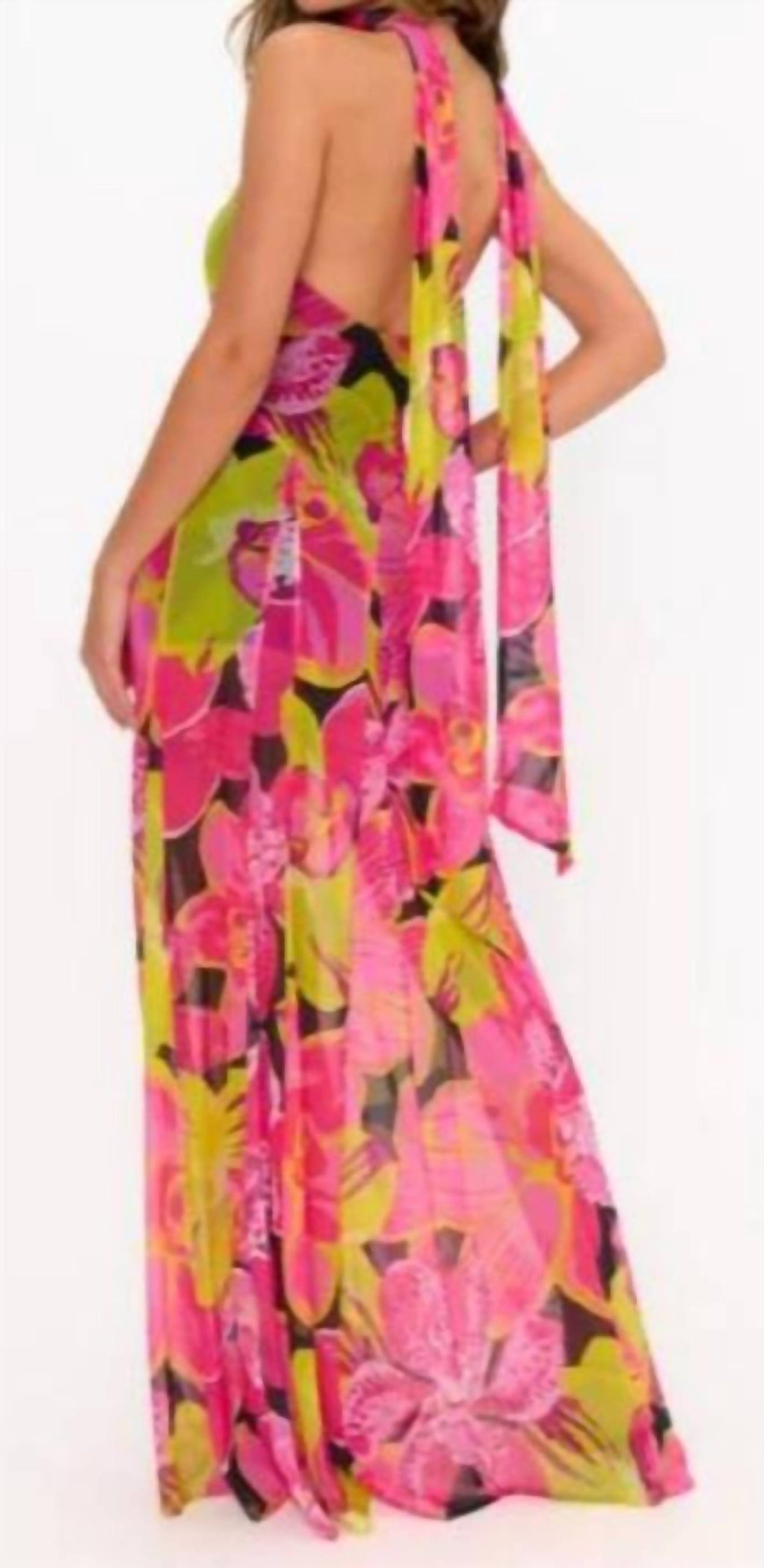 Show Me Your Mumu - Katia Maxi Dress
