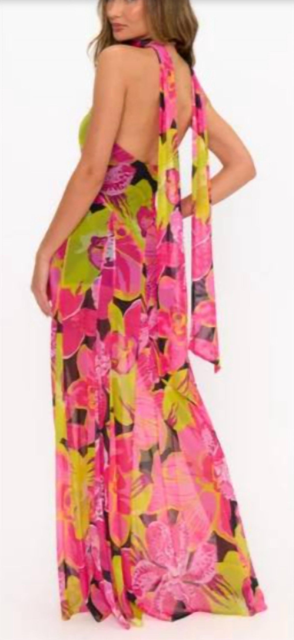 Show Me Your Mumu - Katia Maxi Dress