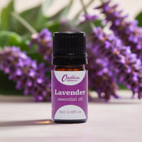 Caribbean Emerald - Lavender Essential Oil 10ml
