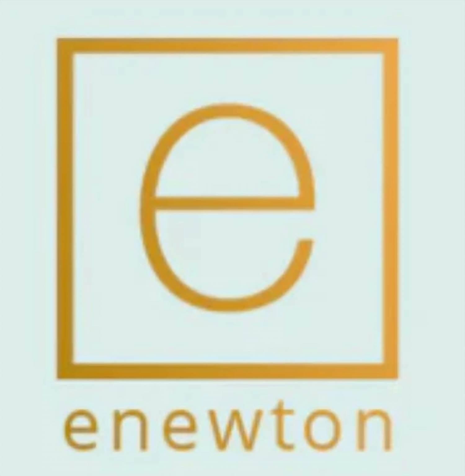 Enewton - Choker Bright Faceted Hematite 2mm Bead Necklace