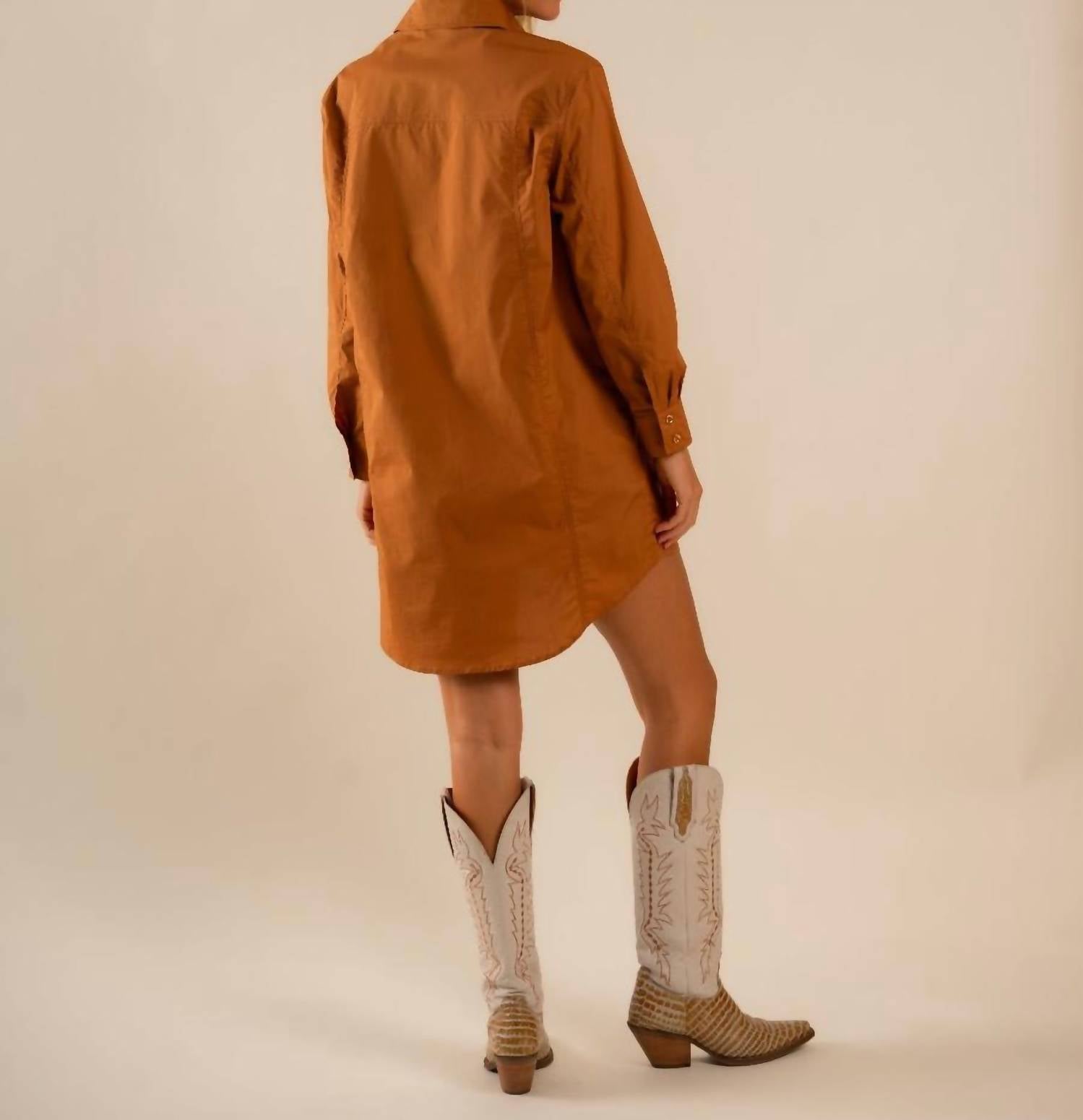 Care Tucker - Basic Preslie Poplin Shirt Mini Dress