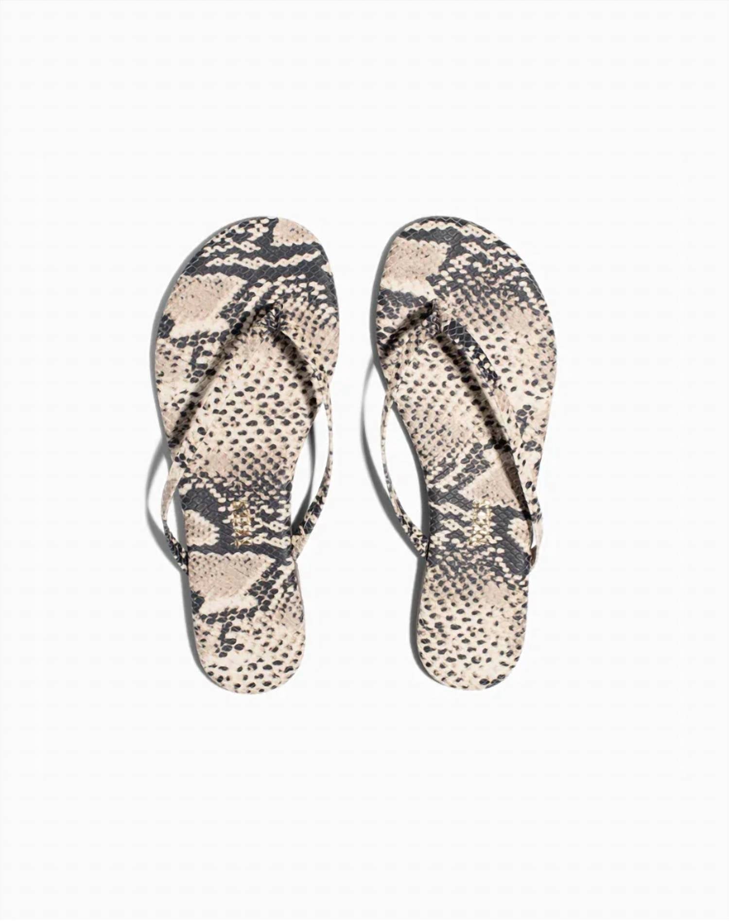 Tkees - Women's Studio Exotic Flip Flops