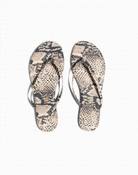 Tkees - Women's Studio Exotic Flip Flops