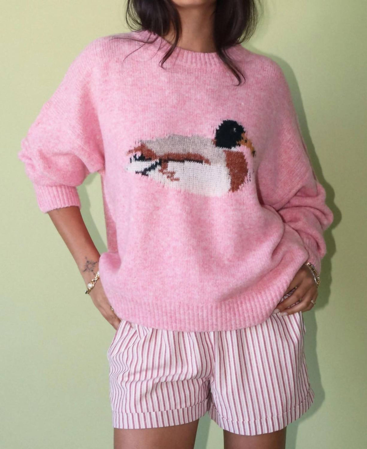 Bailey Rose - Duck Graphic Sweater