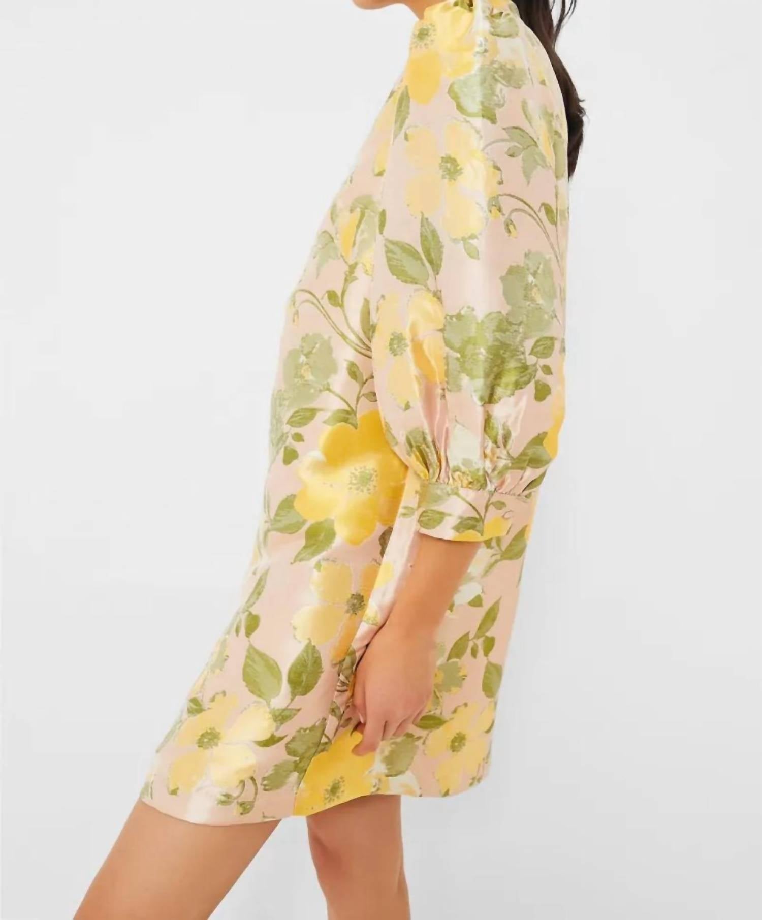 Pomander Place - Samantha Tapestry Mini Dress