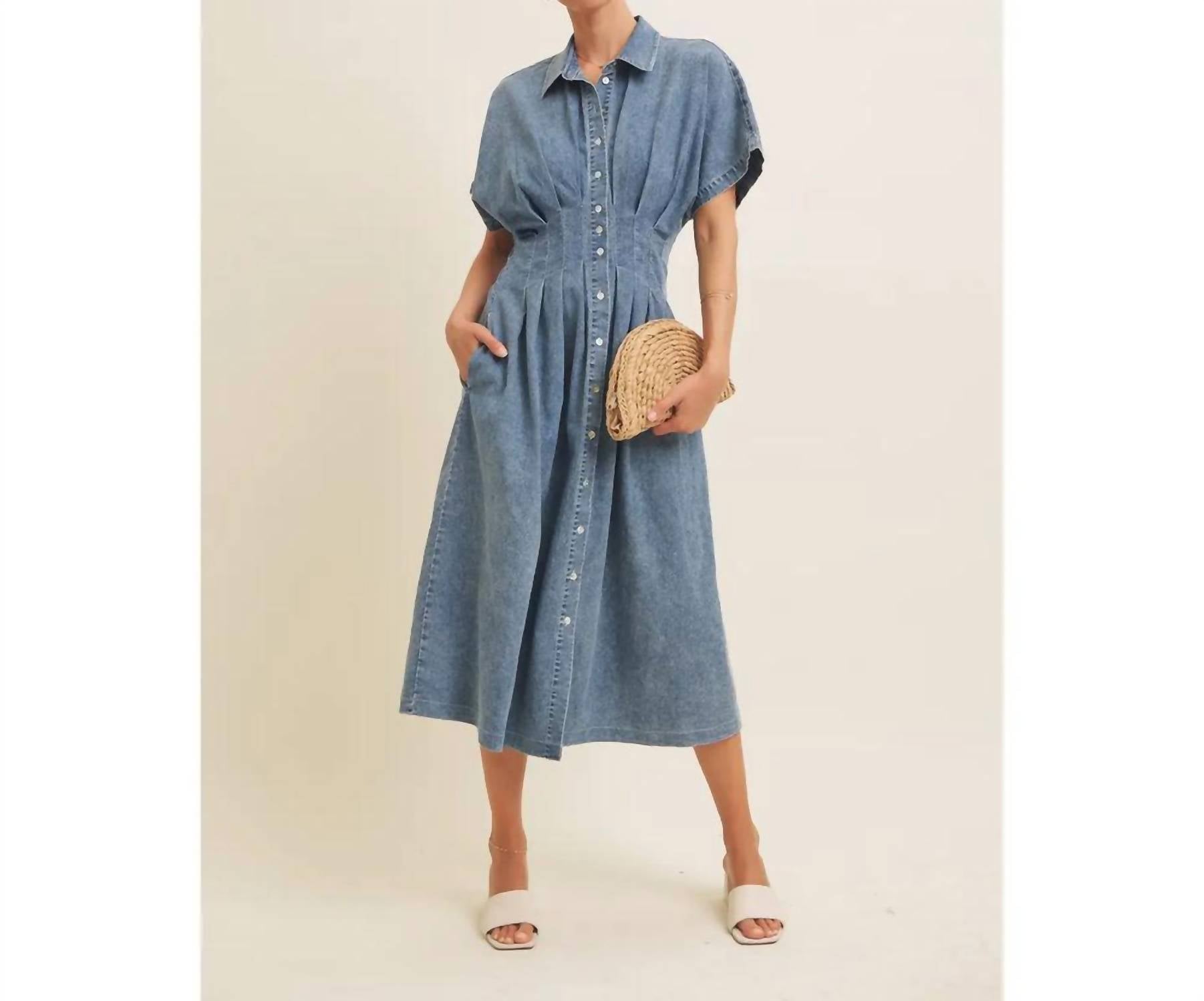 In February - Button Down Pleated Midi Dress