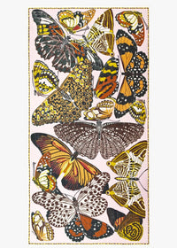 Inoui Editions - Women's Etole 100 Papillons Scarf
