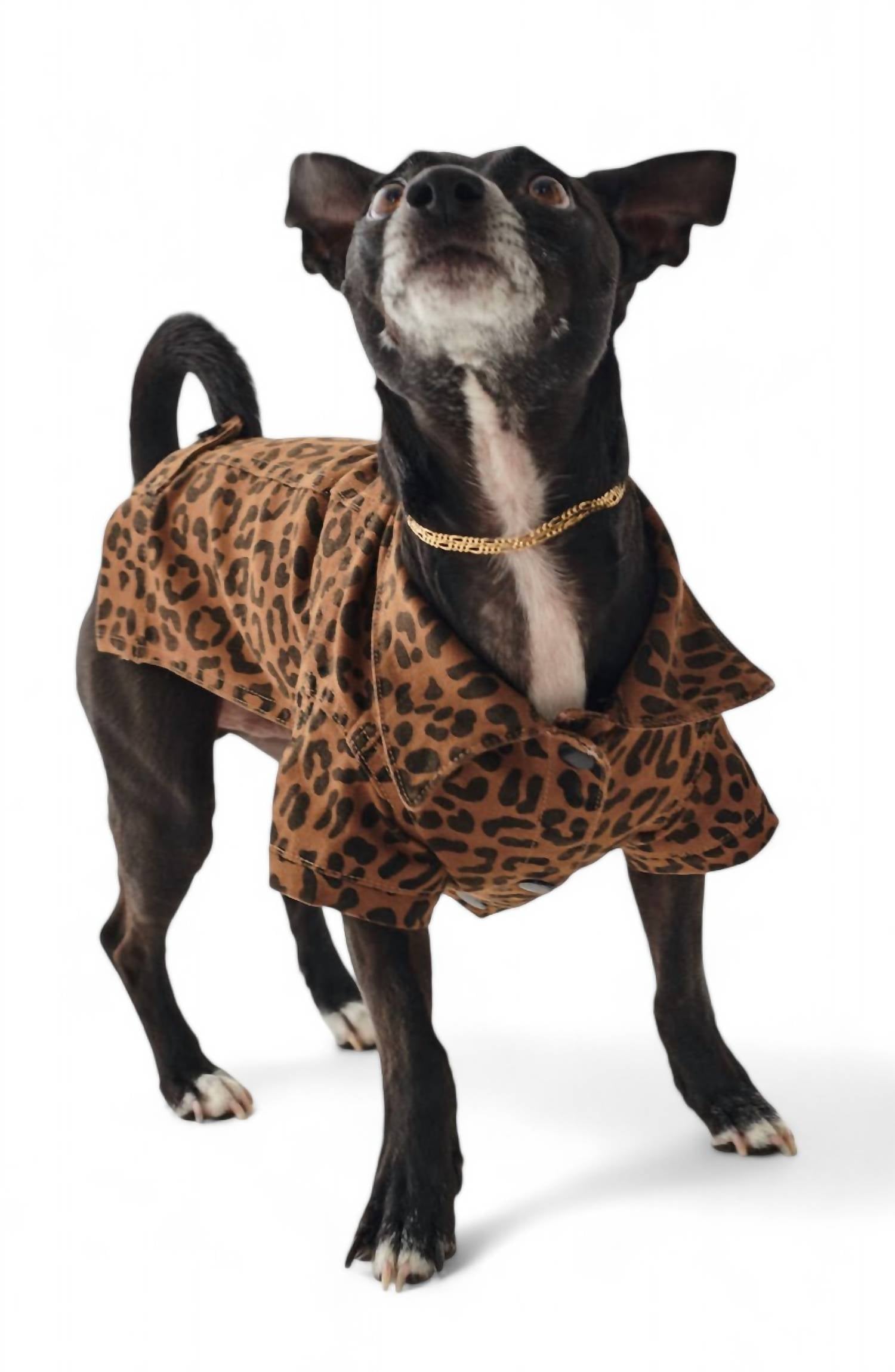 Dl1961 - Pet'S - FIDO CANINE TRUCKER JACKET