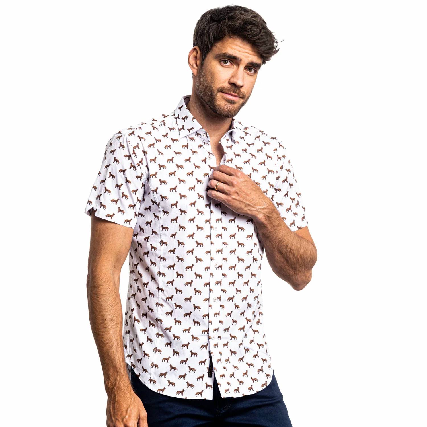 Eight X - Toller Short Sleeve Button Down Shirt
