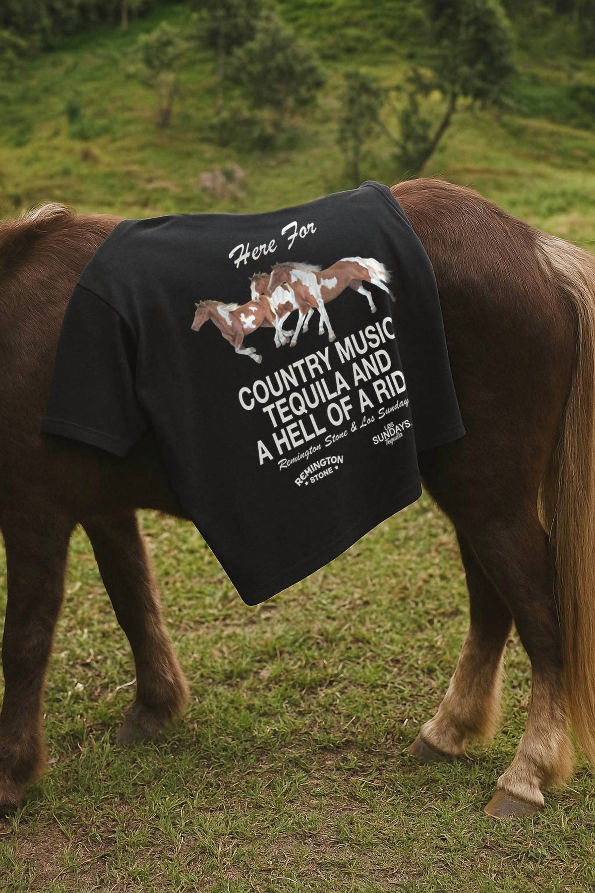 Los Sundays Tequila - Unisex The Hell Of A Ride Tee