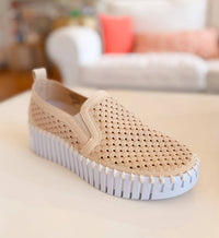Ilse Jacobsen - Women's Tulip Kit Platform Slip-on Sneaker