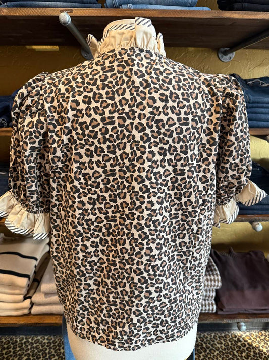 Entro - Women's Leopard Collared Top
