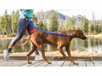 Stunt Puppy - Stunt Runner Hands-free Leash