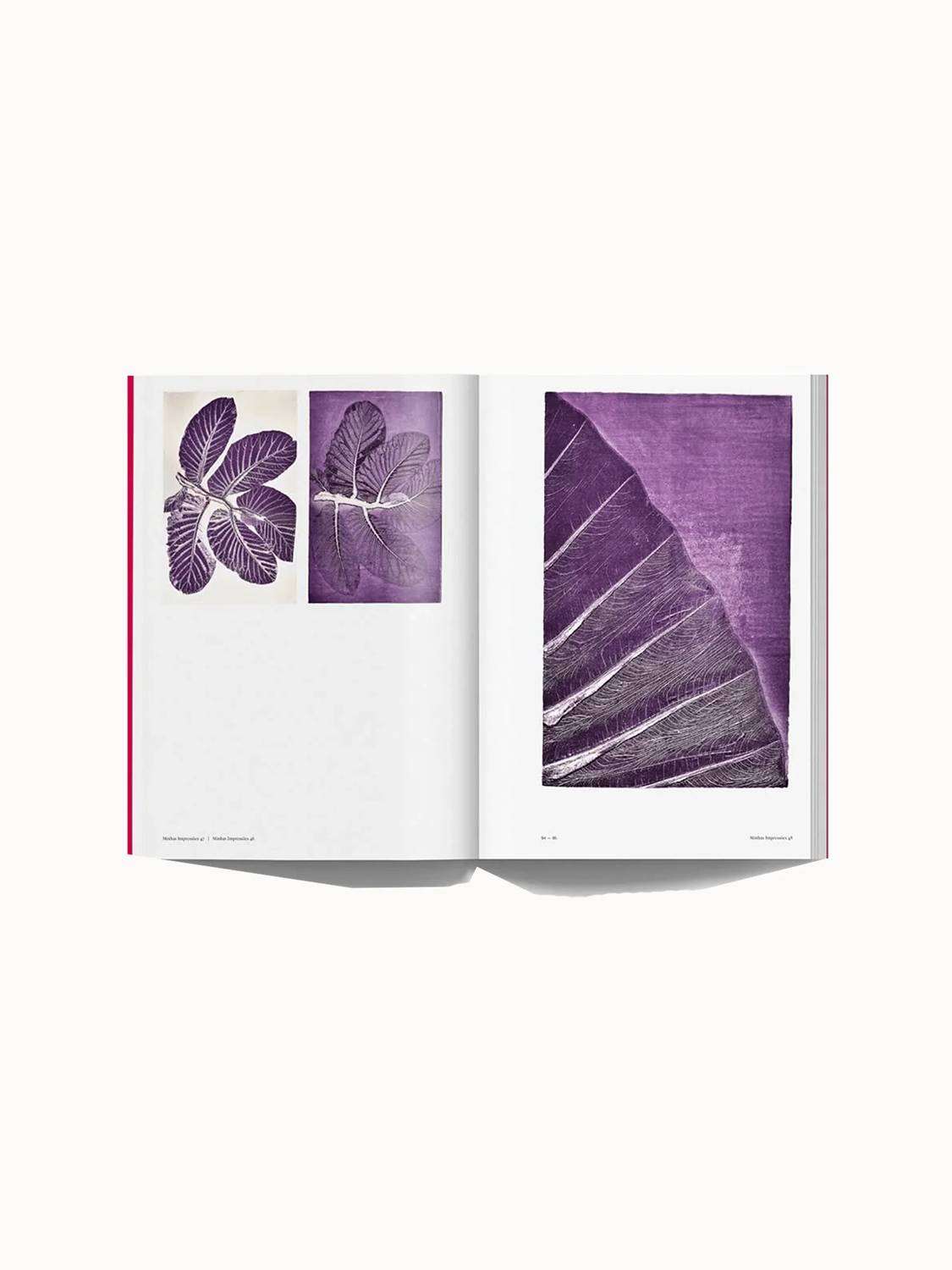 Ingram - Luiz Zerbini: Botanica: Monotypes 2016-2020 Art Book