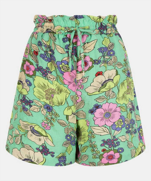 Resort Island Shorts