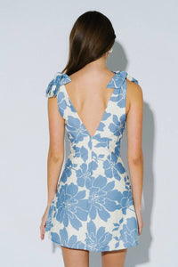 Blue Blush - Rachel Dress