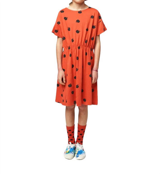 Bobo Choses - Poma all over dress