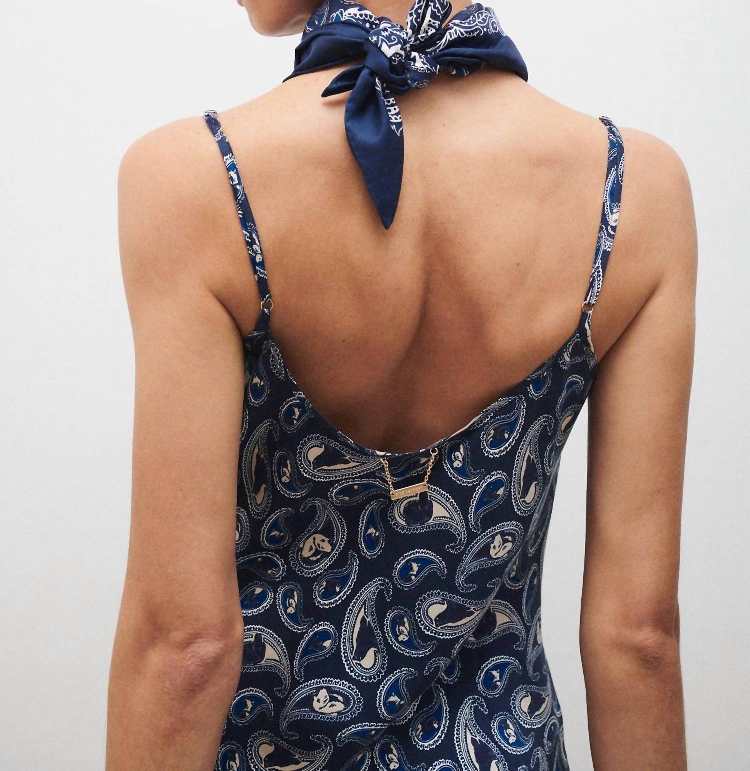 Silk Laundry - Paisley Hounds Dress