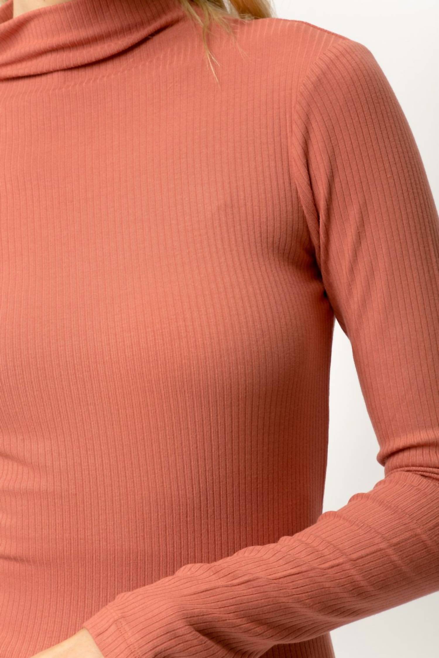 Ribbed Mock Neck Turtleneck