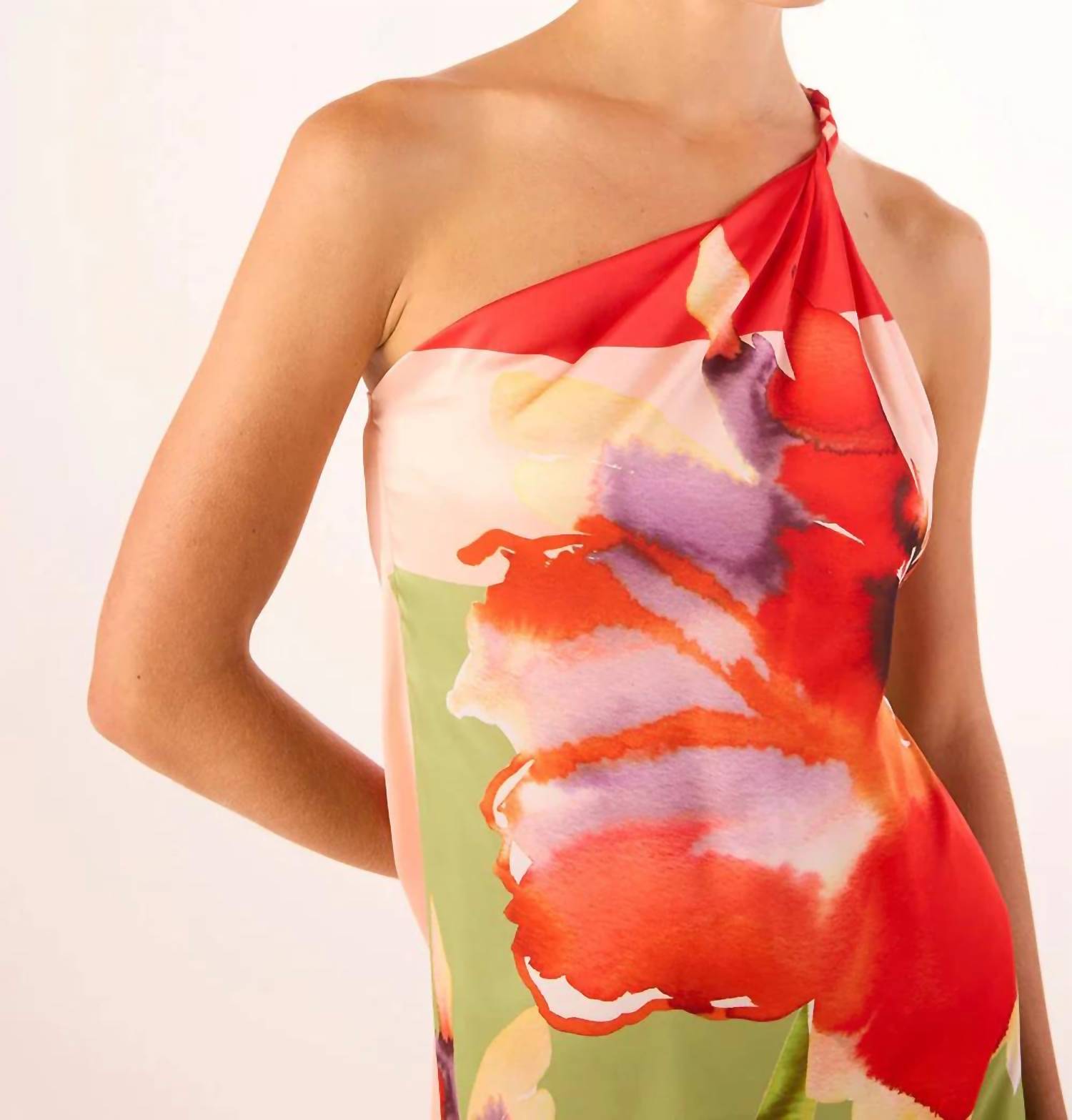 Misa Los Angeles - Dounia Maxi Dress
