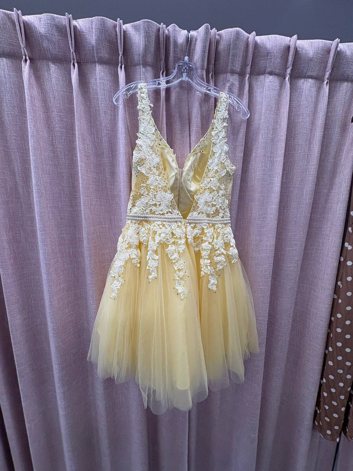 Dave & Johnny - Tulle And Lace Appliqué Mini Dress