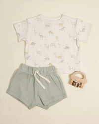 Quincy Mae - Boys Boxy Tee + Play Short Set