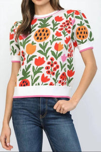 Fate By Lfd - Short Sleeve Colorful Sweater