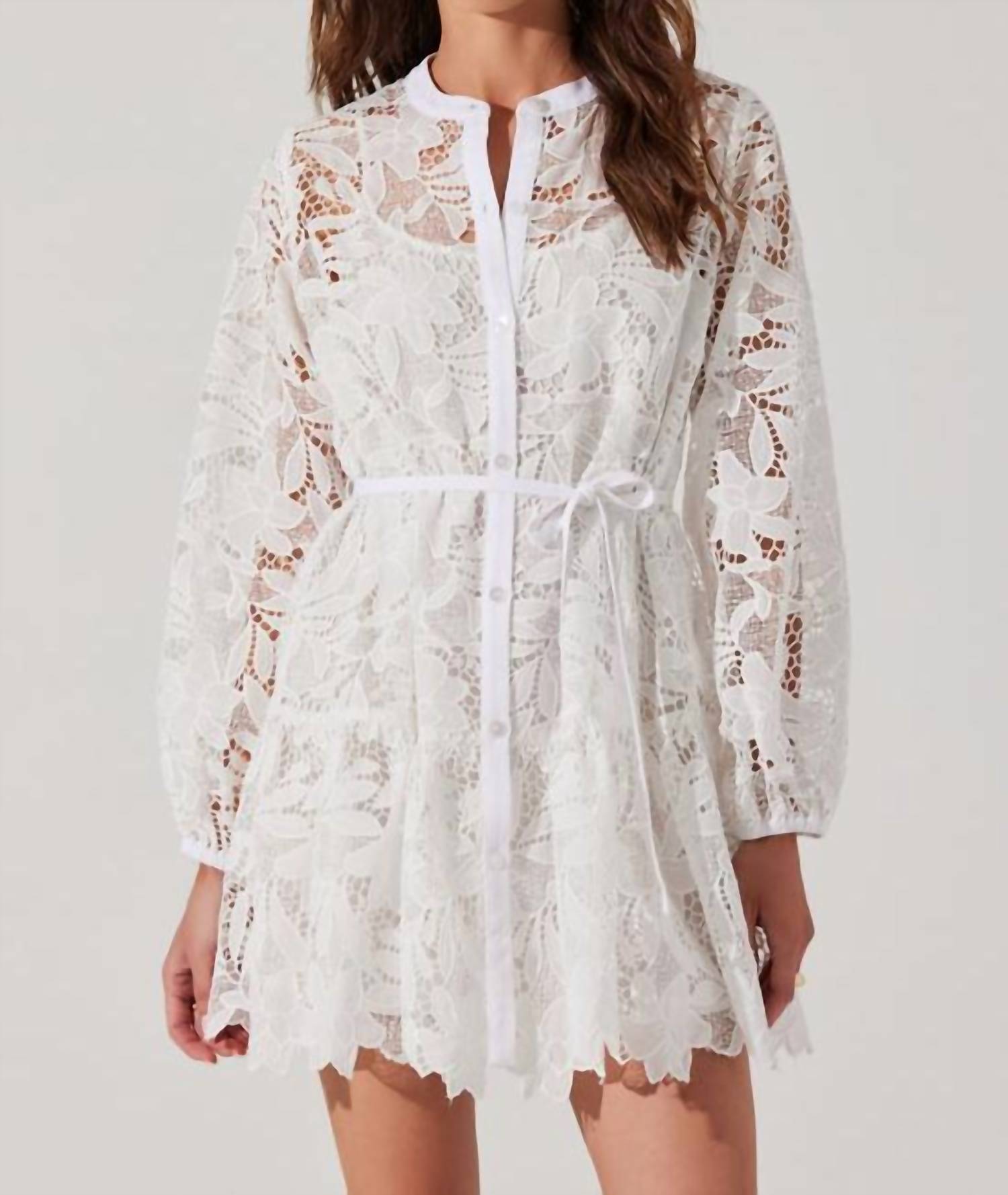 Astr - Celie Crochet Lace Mini Dress