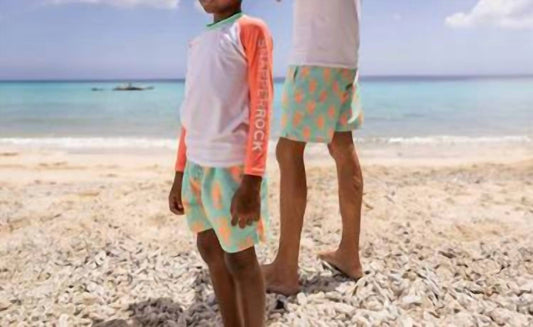 Snapper Rock - Ocean Clawed Swim Shorts