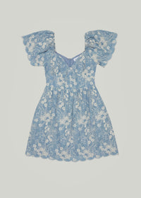 Lost + Wander - Springtime Splendor Mini Dress