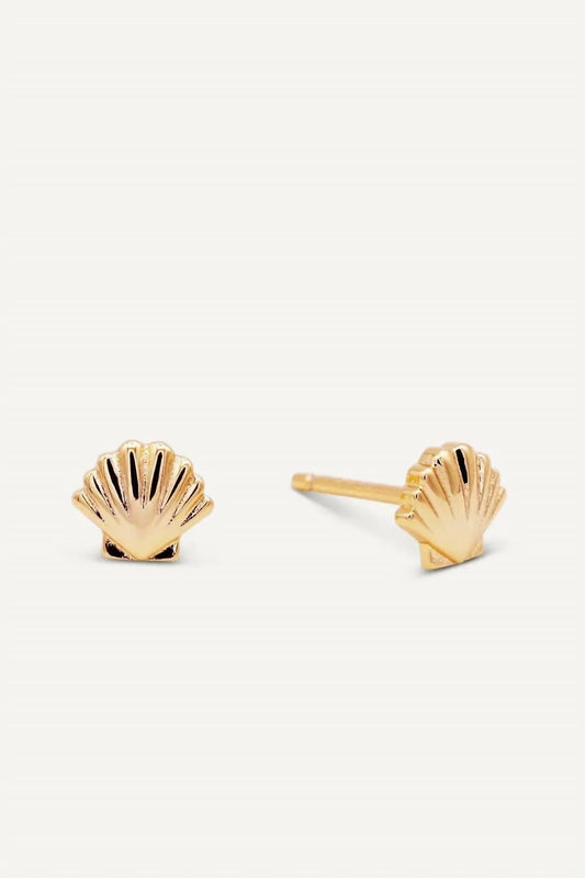 Jaxkelly - Women's Seashell Earrings