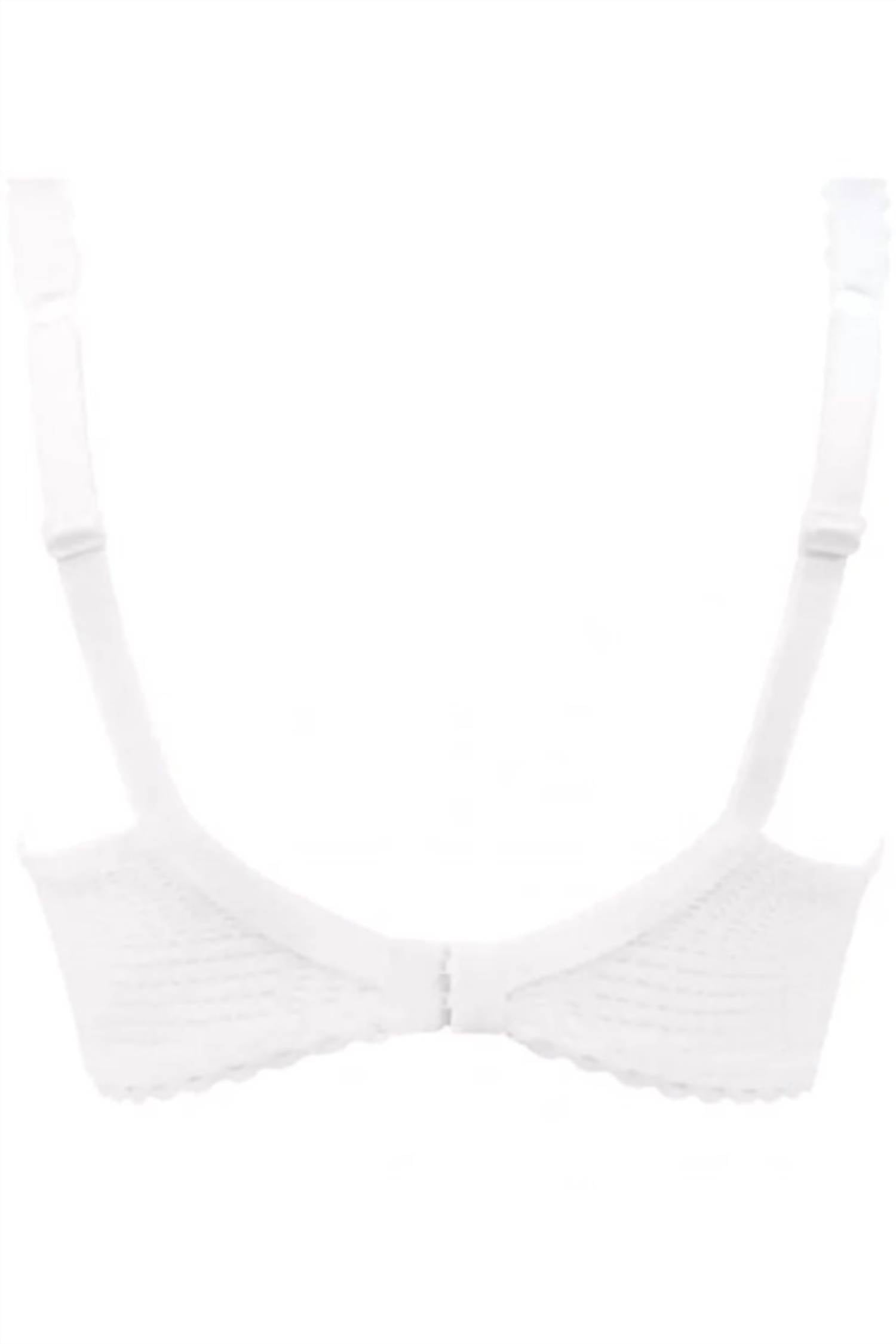 Antigel Boudoir De Filles - Three Part Seam Bra