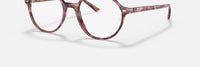 Ray Ban - Women's Rb5395 8175 Thalia Optics Round Eyeglasses Frame