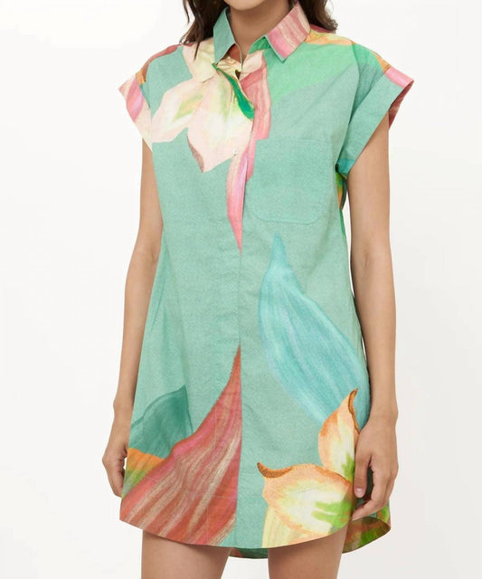 Oliphant - Women's Mini Dress