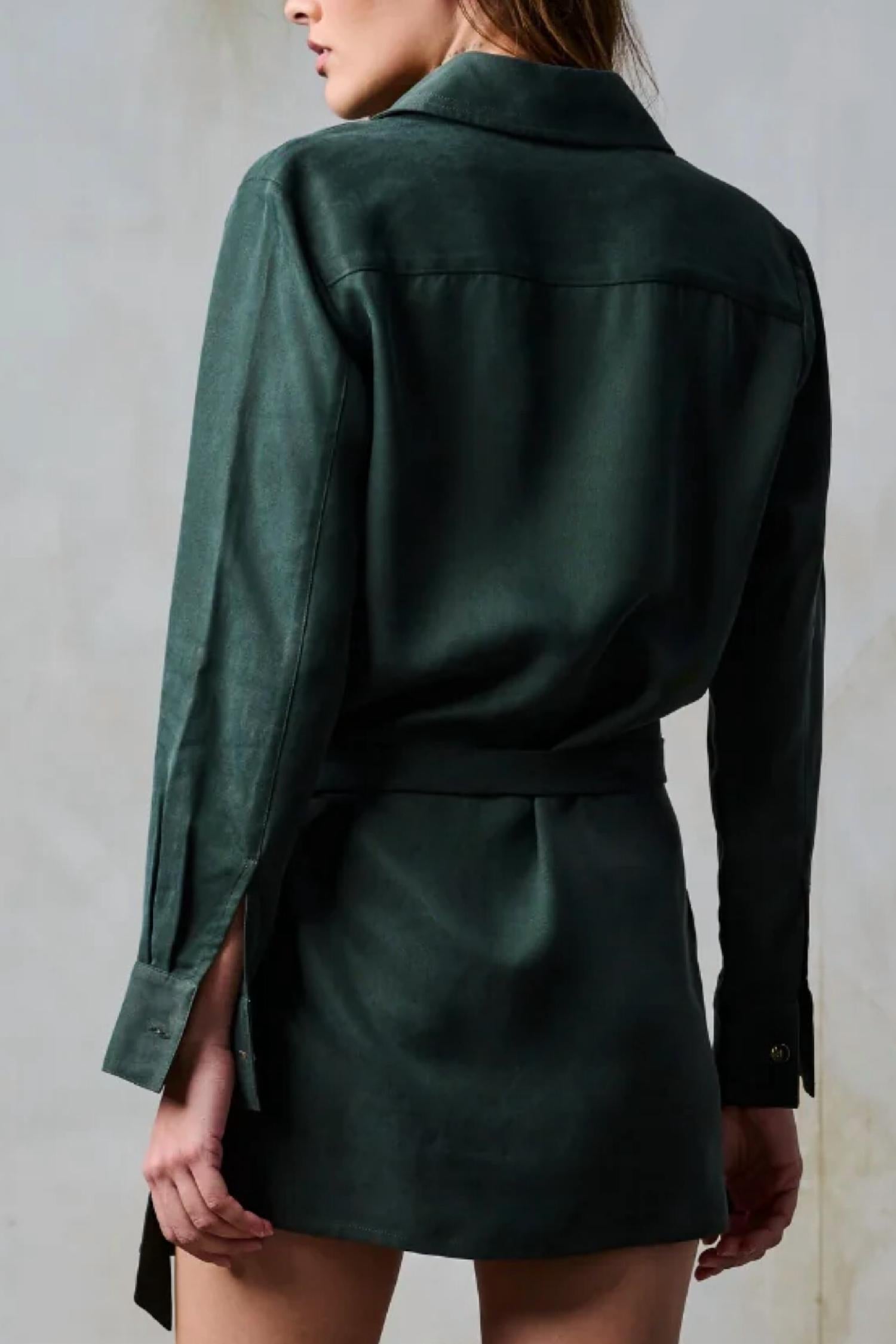 Hevron Triva Dress in deep forest - women's dress - detail view