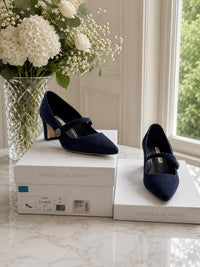 Manolo Blahnik - Women's Sajada Suede Pumps