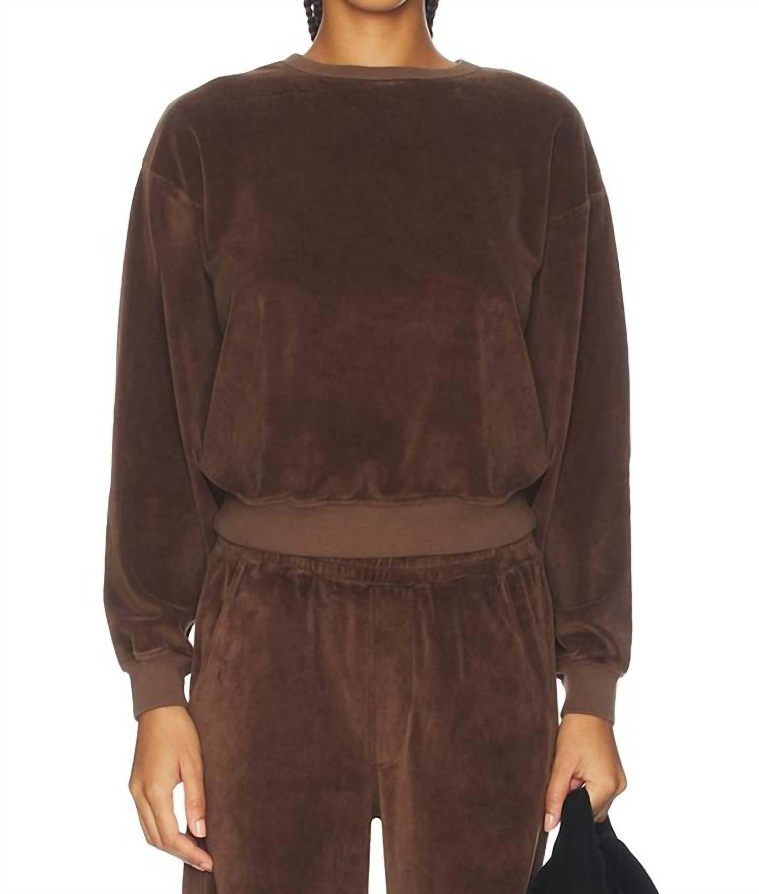 Citizens of Humanity Vintage Crewneck Sweatshirt in camello - women's top