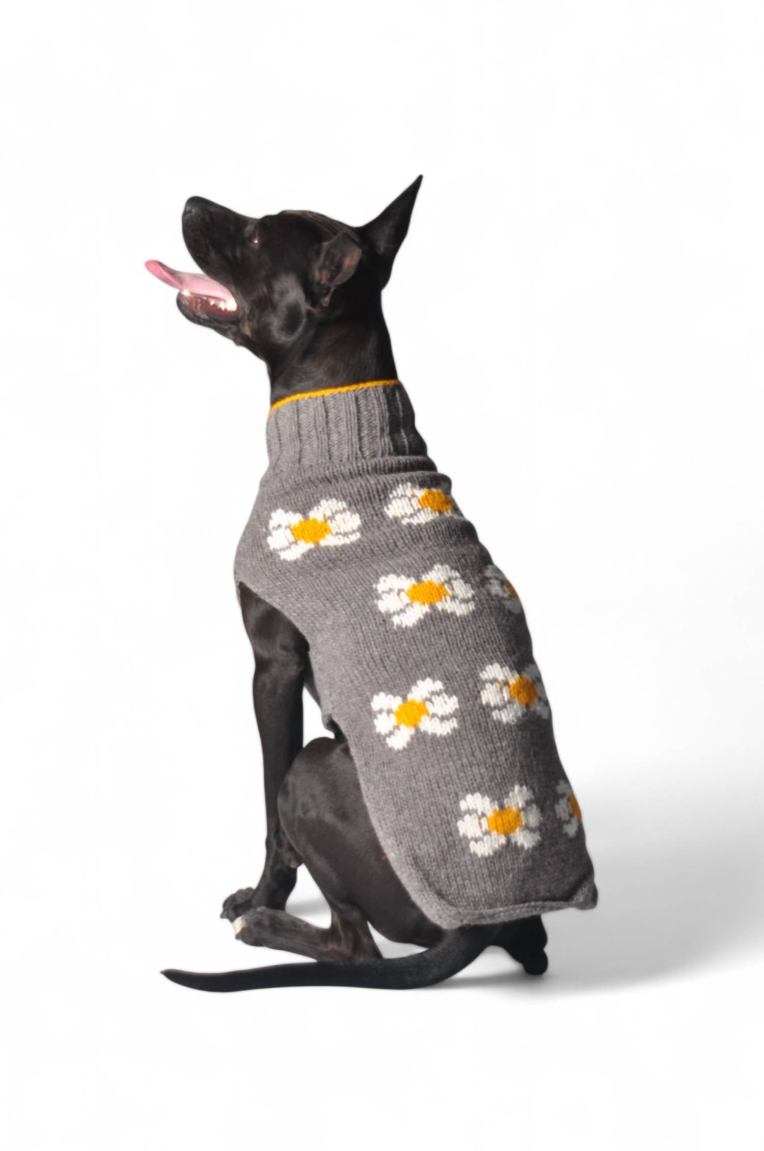 Chilly Dogs - Daisy Dog Sweater
