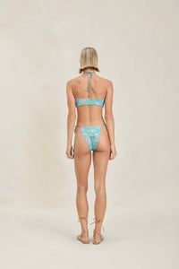 Devon Windsor - Whit Bottom