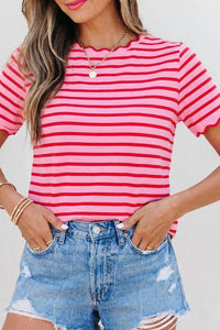 Aapparella - Women's Stripe Scallop Shirt