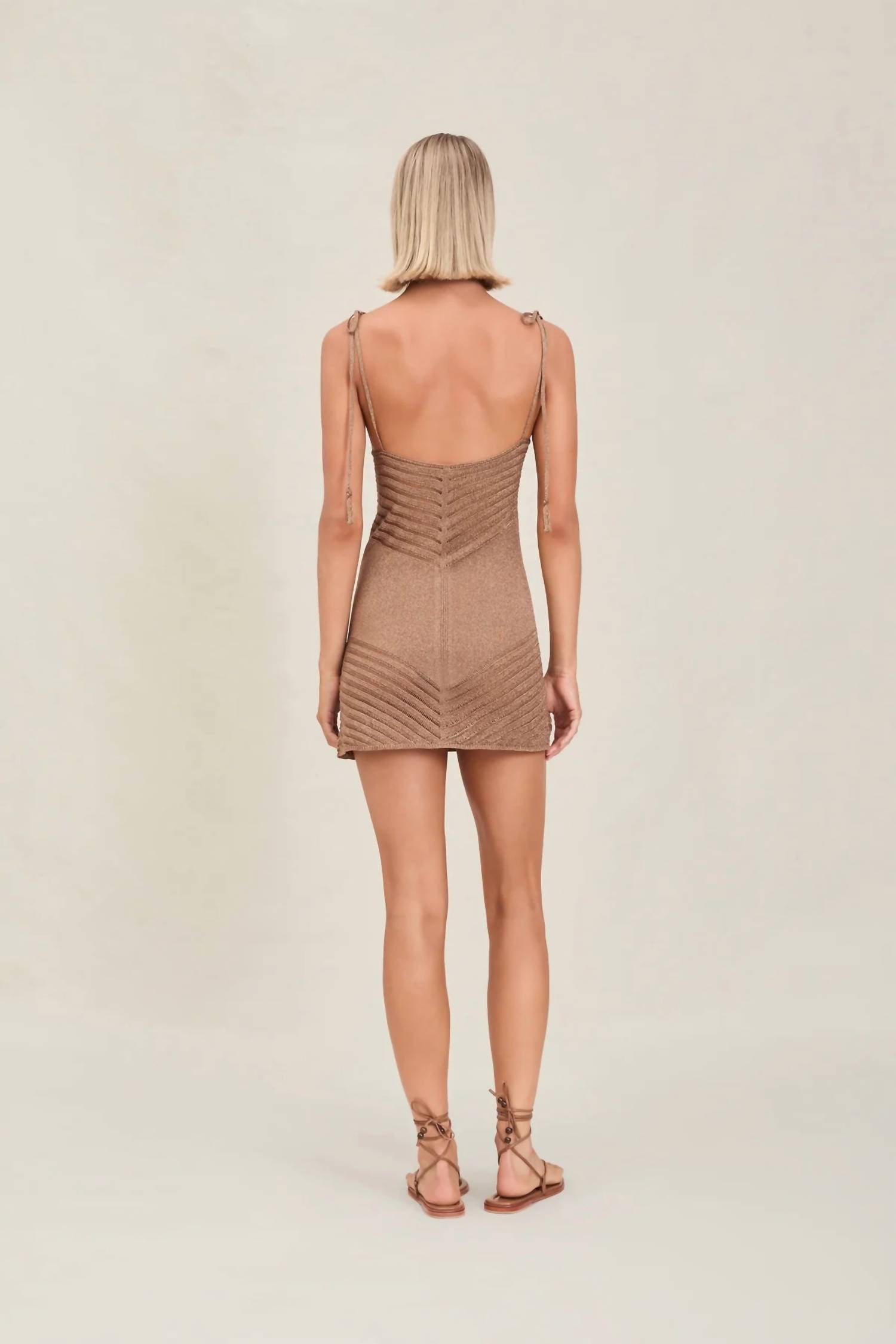 Devon Windsor - Halle Dress