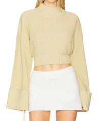 We Wore What - Cropped Turtleneck Sweater