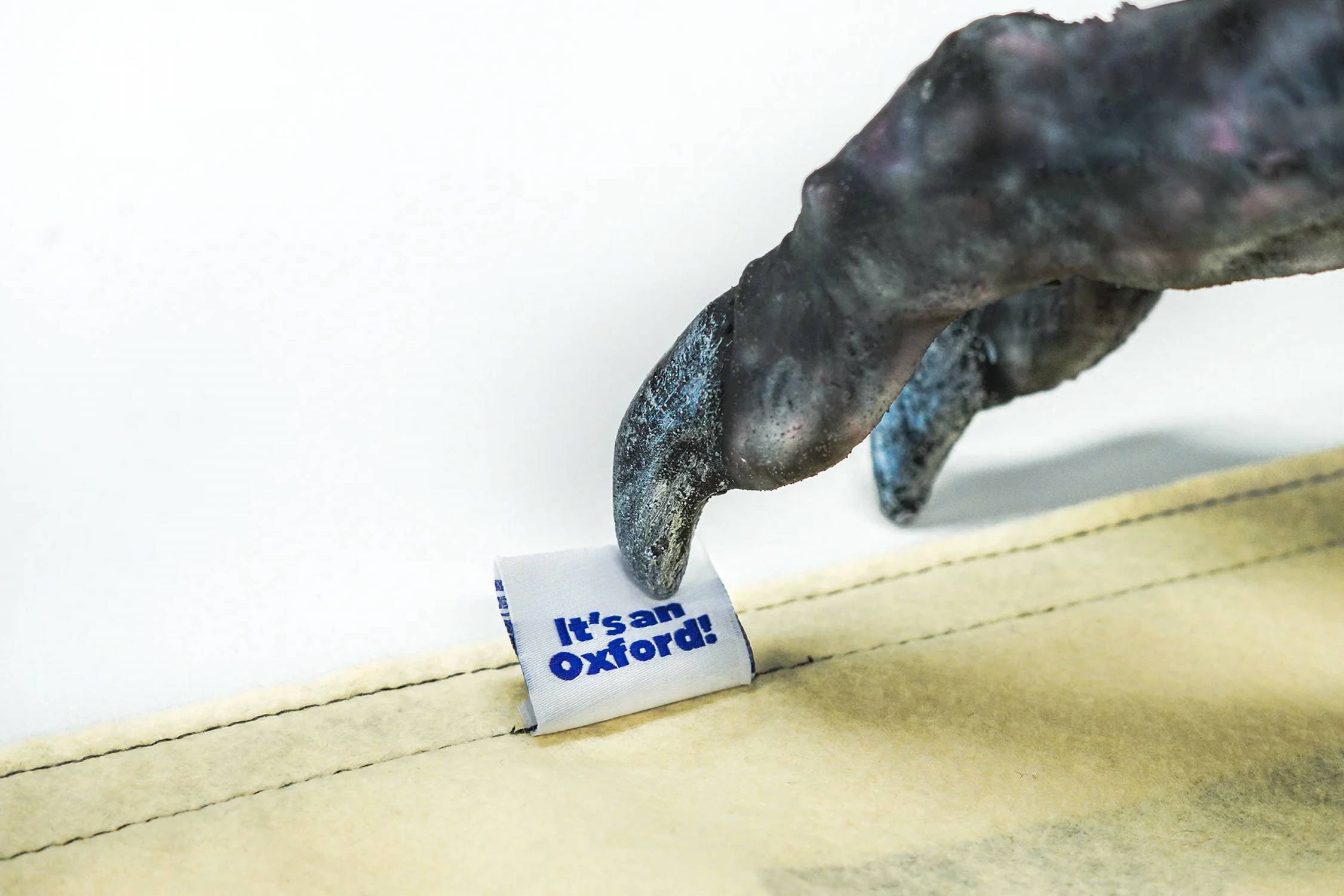 Oxford Pennant - Stay Weird Camp Flag