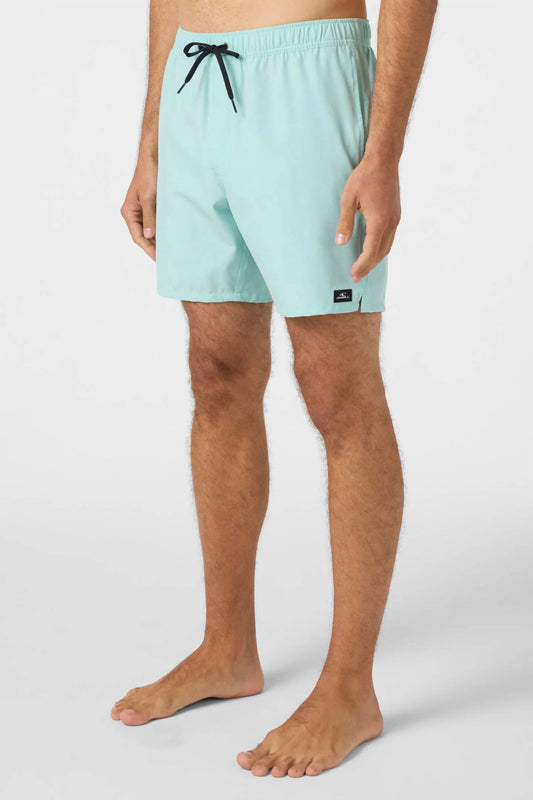 O'Neill - Men's Lennox Hermosa Volley 17" Boardshort